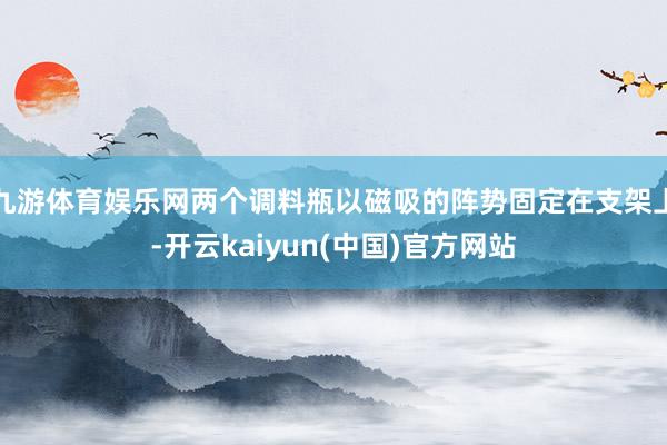 九游体育娱乐网两个调料瓶以磁吸的阵势固定在支架上-开云kaiyun(中国)官方网站
