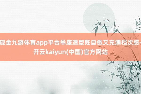 现金九游体育app平台举座造型既自傲又充满档次感-开云kaiyun(中国)官方网站