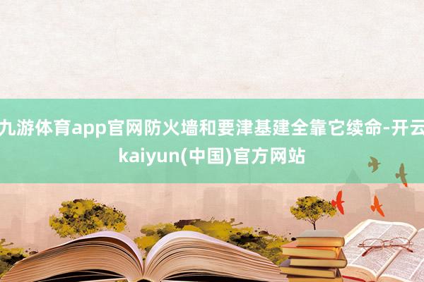 九游体育app官网防火墙和要津基建全靠它续命-开云kaiyun(中国)官方网站