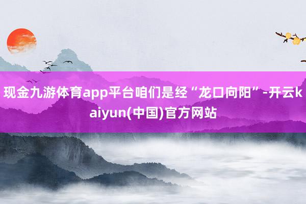 现金九游体育app平台咱们是经“龙口向阳”-开云kaiyun(中国)官方网站