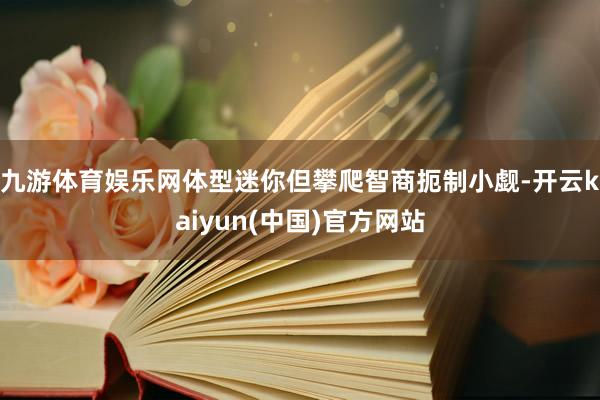 九游体育娱乐网体型迷你但攀爬智商扼制小觑-开云kaiyun(中国)官方网站