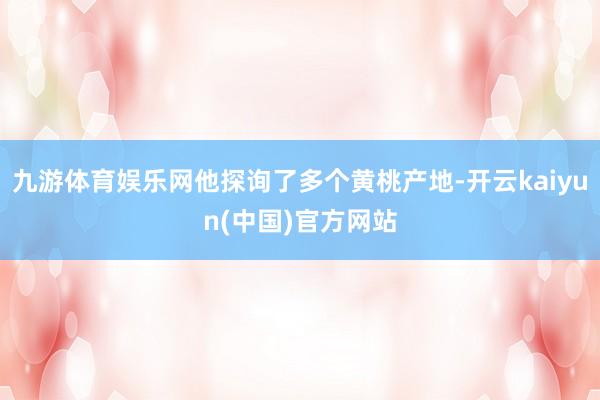 九游体育娱乐网他探询了多个黄桃产地-开云kaiyun(中国)官方网站