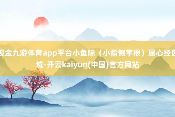 现金九游体育app平台小鱼际（小指侧掌根）属心经区域-开云kaiyun(中国)官方网站
