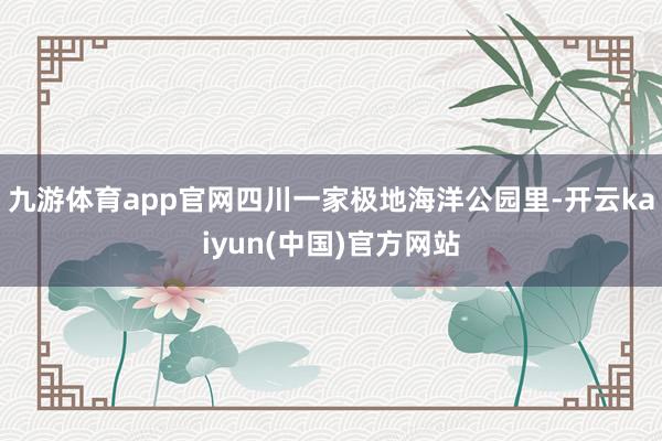 九游体育app官网四川一家极地海洋公园里-开云kaiyun(中国)官方网站